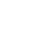 Logo The Store Designers